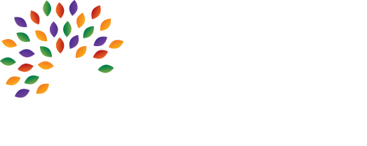 CMDS Inc