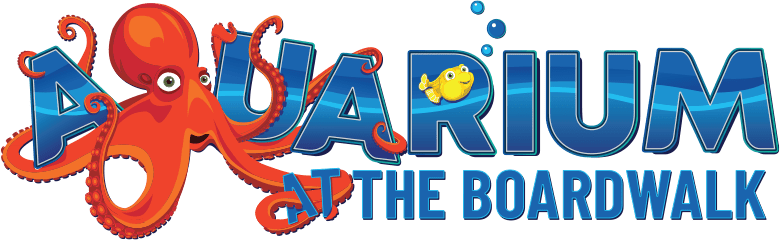 Aquarium at the Boardwalk