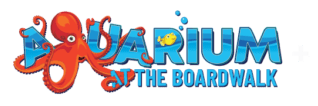 Aquarium at the Board Fiver