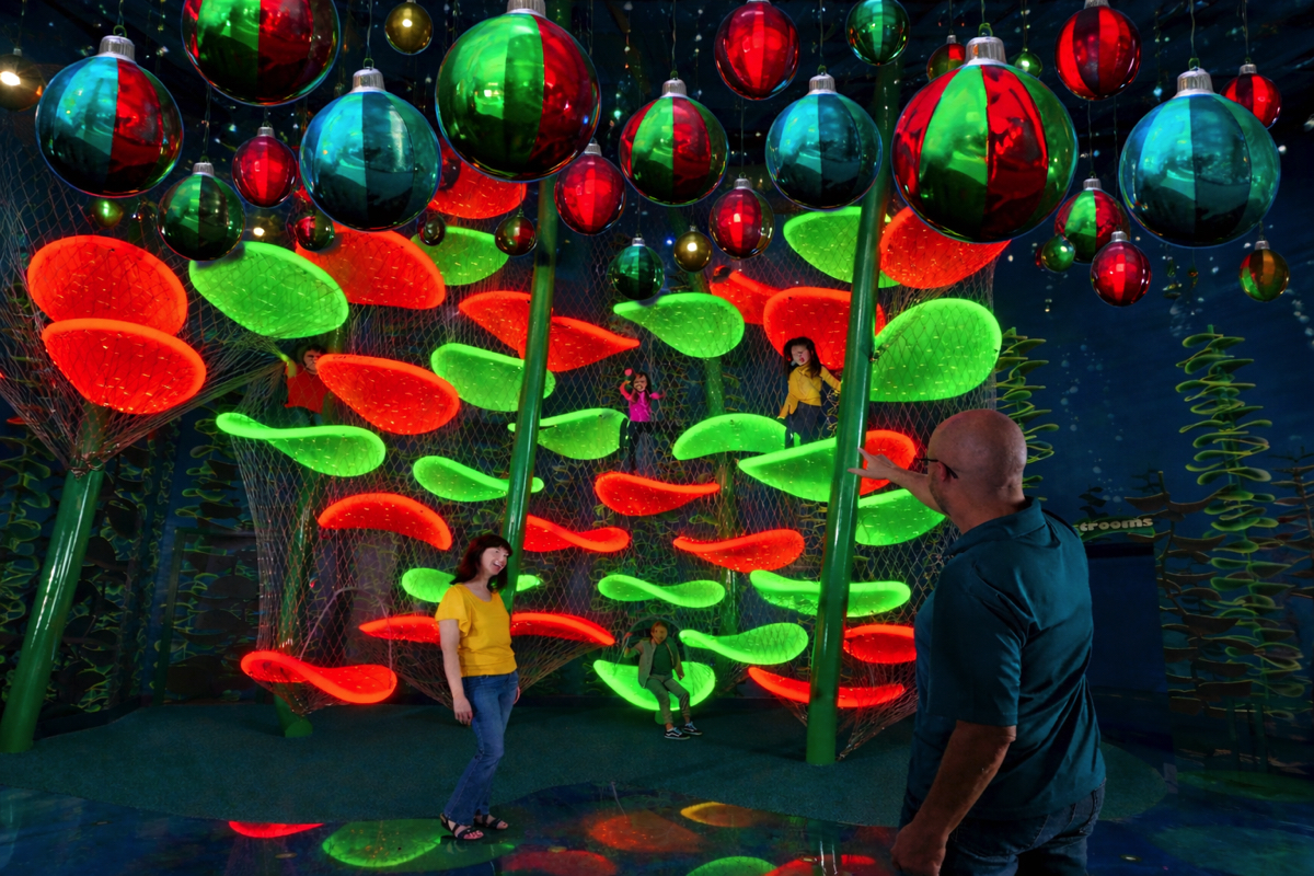 Christmas Kelp Forest
