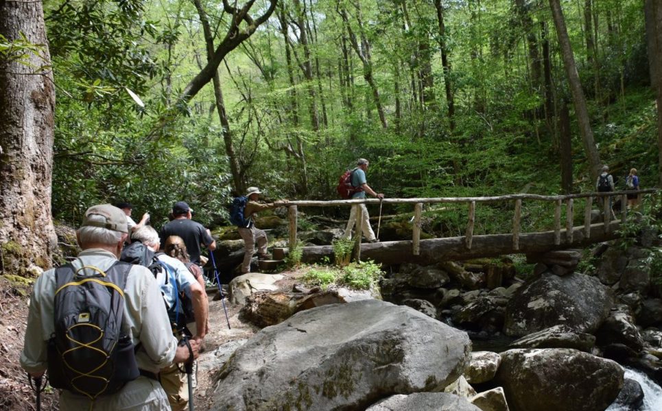 Things to do in Pigeon Forge - Hiking